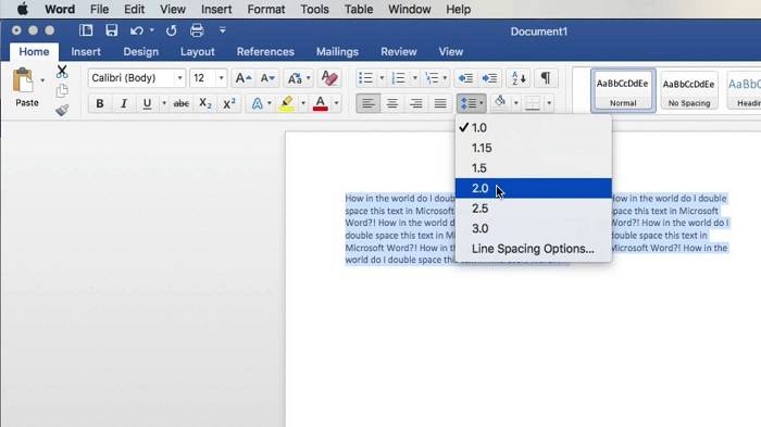 how to double space in word 1